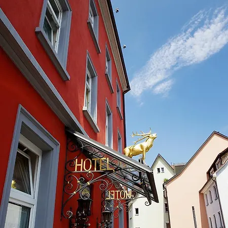 Hirschen Konstanz